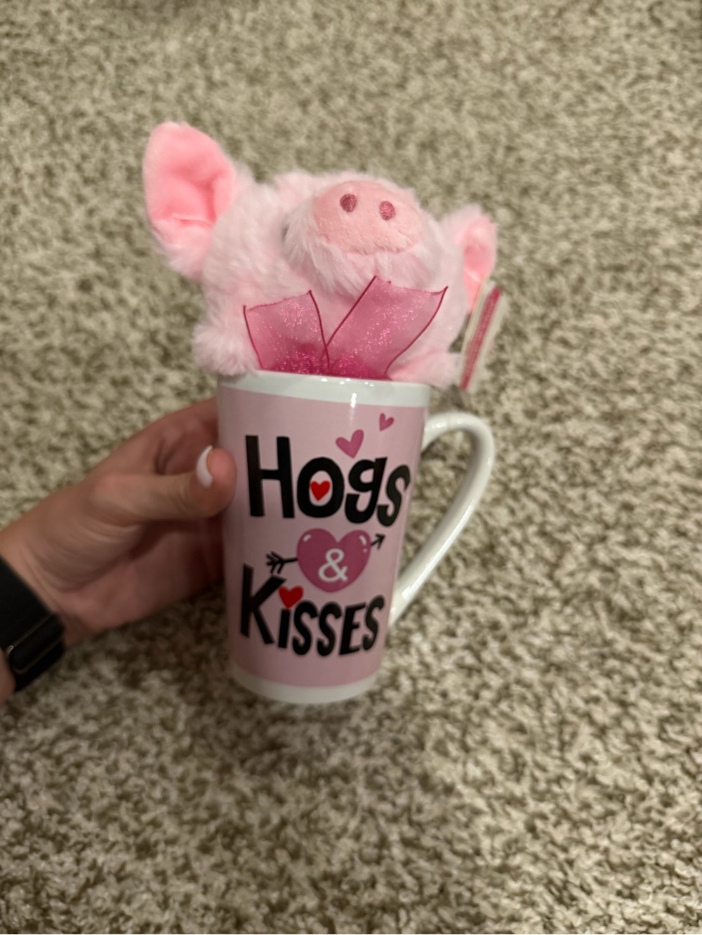 Pink 'Hogs & Kisses' Plush Pig Gift Mug